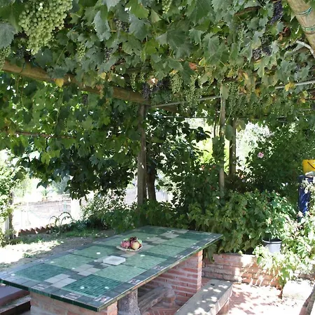 Bed & Breakfast Al Frantoio San Giuseppe *